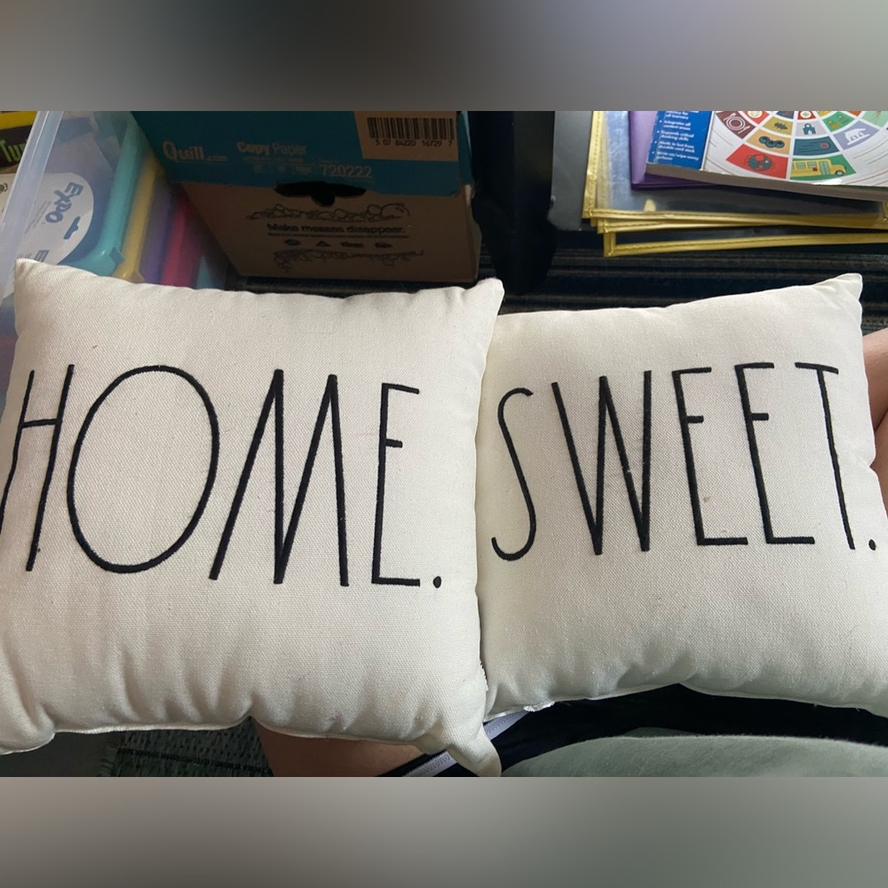 Two Rae Dunn decorative pillows.